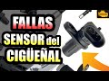 FALLAS sensor del CIGUEÑAL / PRUEBAS con multimetro y FUNCIONAMIENTO sensor CKP dañado 😨 ASÍ FALLA 🔥