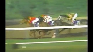 1993 Donn Handicap : ESPN Broadcast