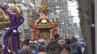 平成28年　葛飾＜鎌倉・八幡神社＞例大祭　宮神輿四基＝連合渡御（1～3丁目）