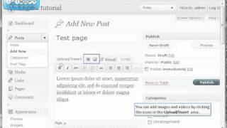 Publishing Posts In WordPress Tutorial