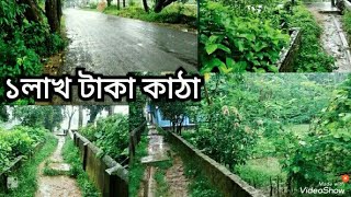 ৩০ফিট রাস্তার পাশে মাত্র ১ লক্ষ্য টাকা কাঠা কলাতিয়া নিমতুলি এলাকায় ১০কাঠা জমি বিক্রি হবে#bd_property