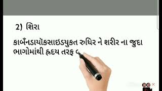 ધોરણ 7 પ્રકરણ 11 પ્રાણીઓ અને વનસ્પતિઓમાં વહન.ધમની અને શીરા