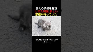 震える子猫を抱きしめた瞬間...新しい家族が待っていた