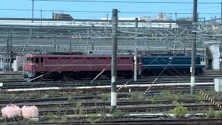 2023年8月5日尾久車両センター　EF81-81,EF65-1115,四季島他