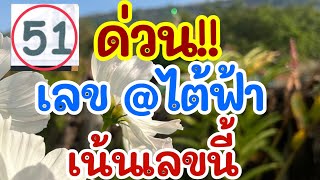 ด่วน!! แอดไต้ฟ้า เน้นเลขนี้ 16 ก.พ. 68 [EP.4]