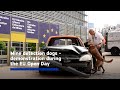 Explosive and mine detection dogs demonstration at the EU Open Day