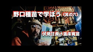 #502｜野口種苗（其の六）｜伏見甘長｜温床育苗計画｜パーマカルチャー｜自給自足｜自然農｜無農薬｜無肥料mp4