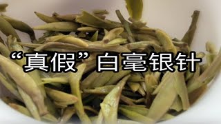 “真假”福鼎白茶之白毫银针茶叶