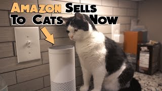 Alexa Sells Cat Sounds | Full Day of Eating Keto