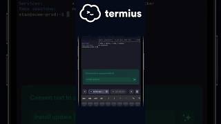 Manage Servers on Mobile with Termius