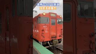 道南いさりび鉄道 国鉄首都圏色#鉄道 #shorts #函館駅 #道南いさりび鉄道 #short #キハ40