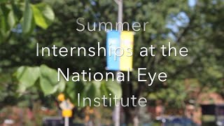 NEI Summer Internship Program