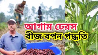 আগাম ঢেরস চাষ পদ্ধতি | Nikhad  Agro Village