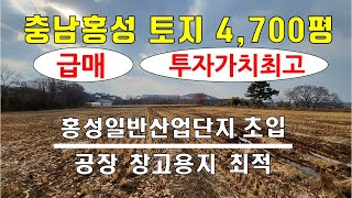 (25-101) 충남 홍성 4,700평 토지급매, 홍성산업단지 입구, 홍성 투자가치최고 토지매매, 계획관리지역, 공장 창고부지 최적토지 [공장파트너공인중개사 한남수TV]