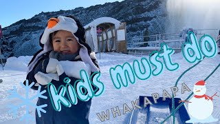 SS Traveller | Things To Do With Kids In Whakapapa | Snow Sledding | Gondola | Snow Play | Eatery