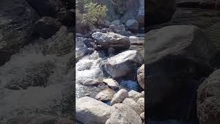 Riyang river, Darjeeling #explorethebeautyofnature #ytshorts