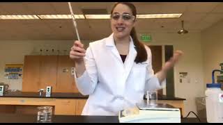 Density and Data Analysis Lab