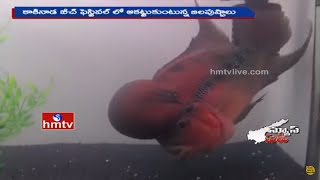 Different Types of Fishes at Kakinada Beach Festival 2016 | HMTV