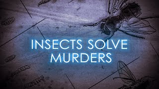 True Crimes:  Bugs catch killer | The Science of Crime | Full Documentary