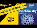 Lippincotts Biochemistry Review (Chapter 19) Amino Acid Disposal || Study This!