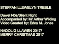 dawel nos silent night steffan llewelyn treble trebl