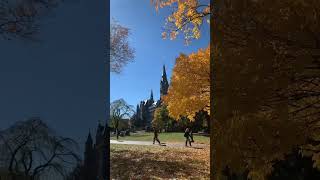 Fall weather at Georgetown University | Washington DC | The most beautiful college campus #shorts