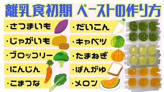 【離乳食初期・ごっくん期】スキマ時間で出来る10品のペーストの作り方！#さつまいも #じゃがいも #ブロッコリー #じんじん #小松菜 #大根 #キャベツ #たまねぎ #パン粥 #メロン #生後5ヶ月