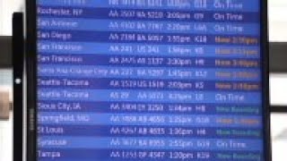 Computer Glitch Temporarily Halts AA Flights