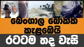 බෙංගාල බොක්ක කැලබෙයි | Voice First News Network