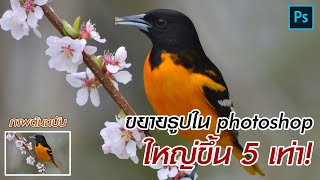 วิธีขยายรูปใน photoshop ใหญ่ขึ้น 5X ภาพยังคมชัดเหมือนเดิม!