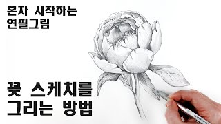 꽃 스케치를 쉽게 그리는 방법 / 식물스케치 Draw flowers with a pencil