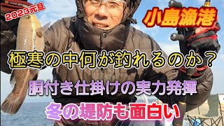 2023新春初海釣り　小島漁港　胴付き浮き釣り仕掛けで小物狙い