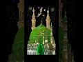 Jashn e Amad Rasool - Farhan Ali Qadri #islam #freepalestine #shortfeed  #shortfeed #shortvideoviral