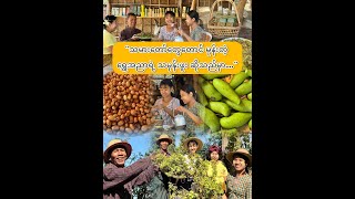 “သမားတော်တွေမုန်းတဲ့ ဆေးဘက်ဝင် သမုန်းဖူး..”