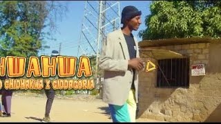 SOLO CHIDHAKWA X GIDAGORIA -DORO NDINORIDA (Official Video) STARRING HWINDI PRESIDENT