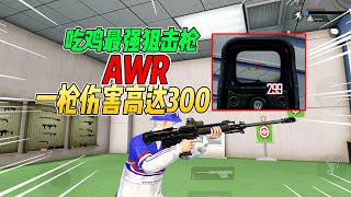 不摸鱼：吃鸡上线最强狙击枪AWR！一枪300伤害远超AWM【和平精英】