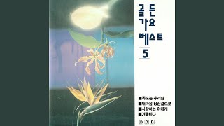 도요새의 비밀 (도요새의 비밀)