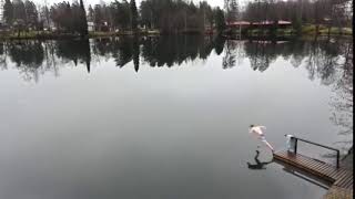 Man running on water meme