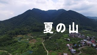 夏の高社山