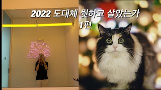 2022 도대체 뭣하고 살았는가 1편 | 모네 많음 주의 | 박사4년과정 | 롱보드 롯데월드 운전면허 기능떨어짐 크로스핏 모네 돌기념 가족사진 스쿼시 싸이 흠뻑쇼 필라테스 여수