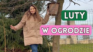 PRACE OGRODOWE W LUTYM - Luty w Ogrodzie