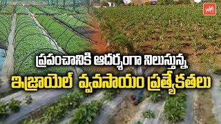 Amazing Facts About Israel Agriculture Technology In Telugu | India | YOYO TV Channel