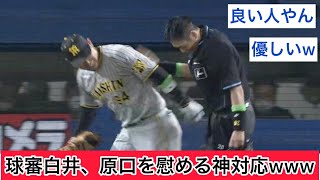 球審白井、原口を慰める神対応www【野球スレ】