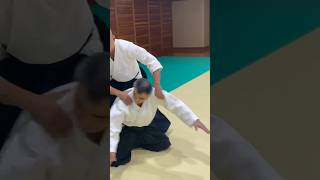 座技後ろ両肩取り自由技 #合気道 #aikido