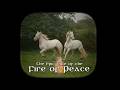 The Epic Tale of the Fire of Peace with Sean Kilkenny