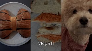 VLOG | 푸들과 샌드위치가 가득한 한주 🐶🥪