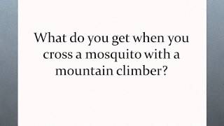 Calculus Jokes