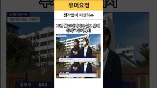 생각없이 피식 재미있는 짤 유머