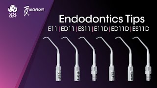 Woodpecker Endodontics Tips: E11, ED11, ES11, E11D, ED11D, ES11D #woodpeckerdental  #endotips