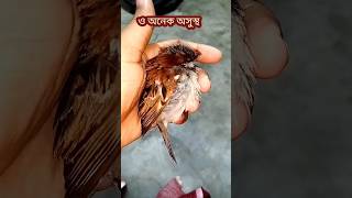 ওর জন্য দোয়া করবেন